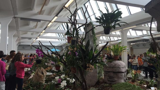 mostra-orchidee-jacquard