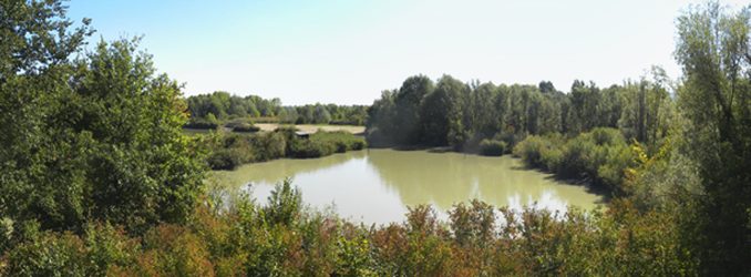 oasi-casale-6