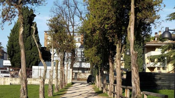 parco-villa-fabris-alberature00