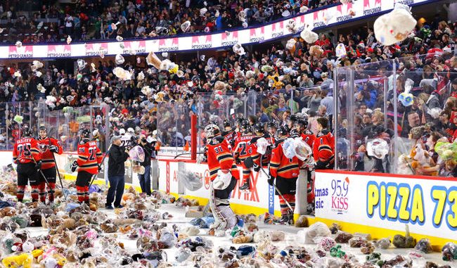 teddy-bear-toss