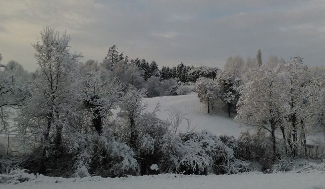 wp_000618