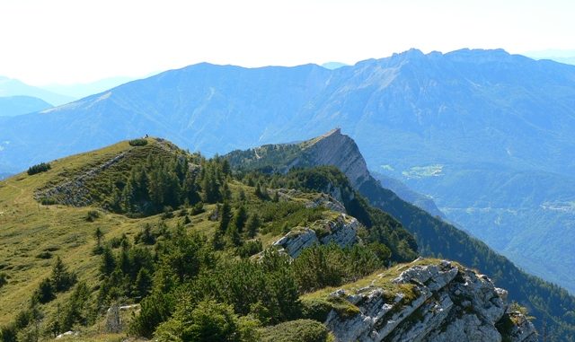 cima-manderiolo-p1070295