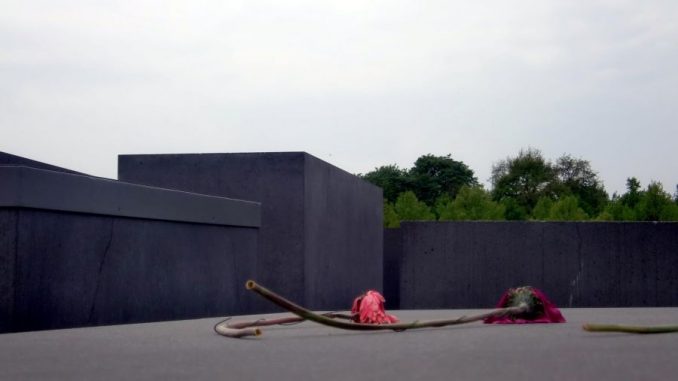 giornata della memoria