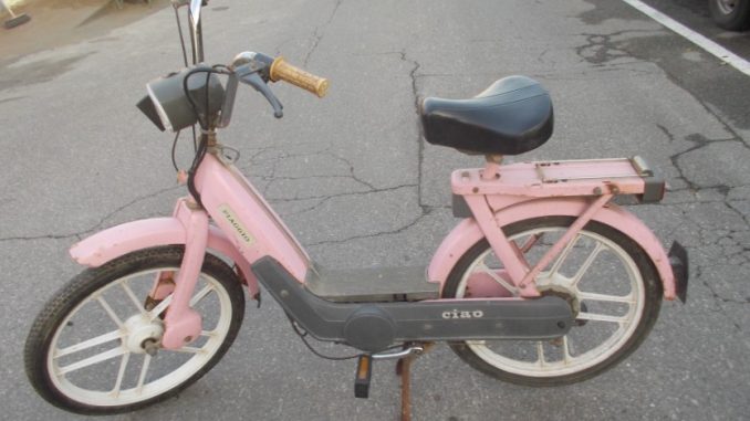 ciao rosa