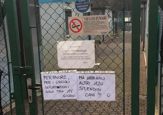 enpa cuccioli