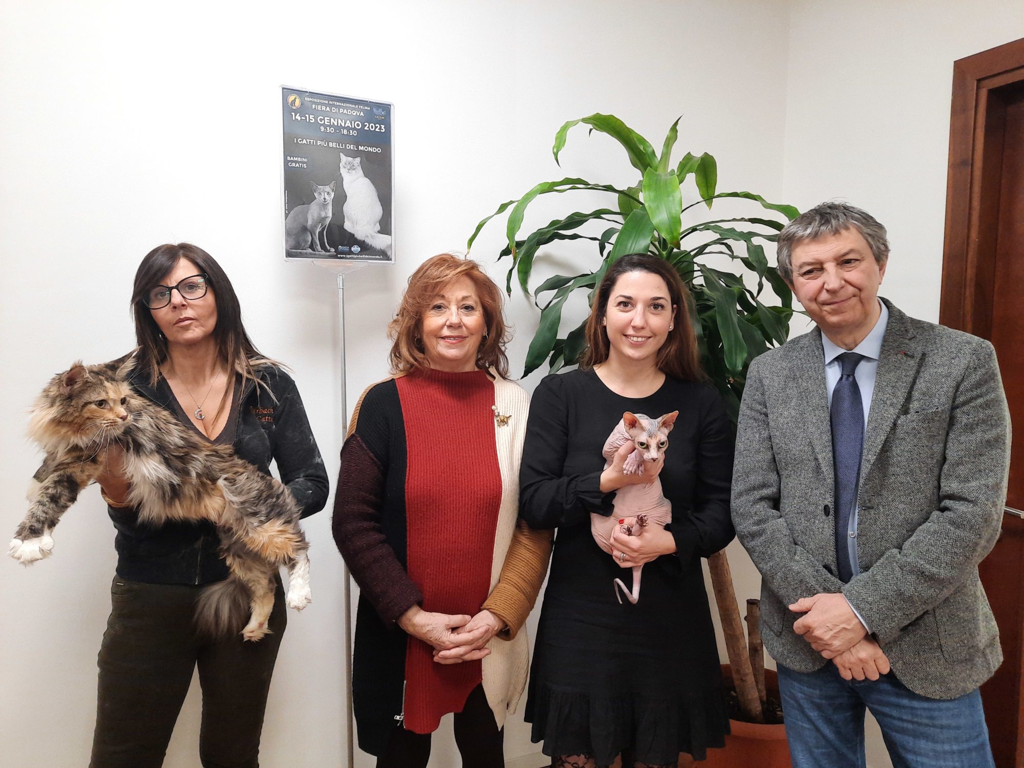 Dalla terra dei "magnagati" alla mostra sfilano i felini vicentini. Nel