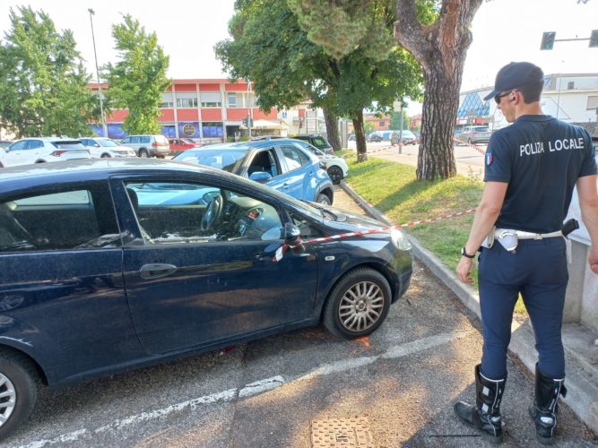 Anziano colpito da un malore alla guida si schianta e muore durante i ...