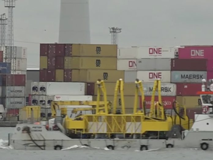 dazi porto 1