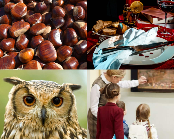 Beige Minimalist Mood Photo Collage