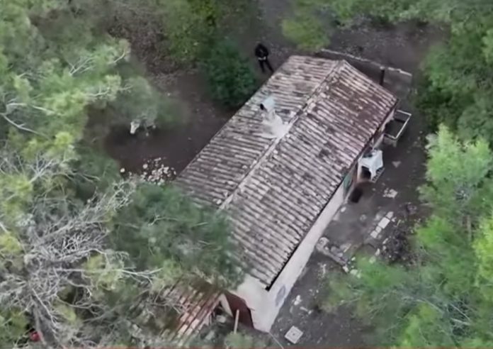 casa nel bosco palmoli