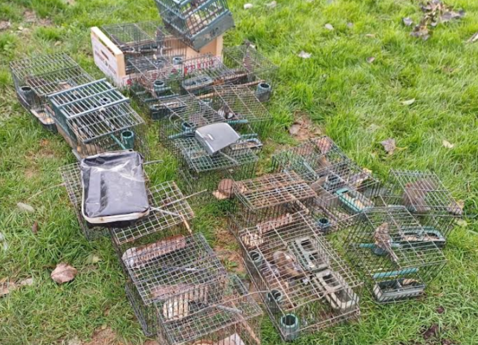 Screenshot 2025-12-12 111706