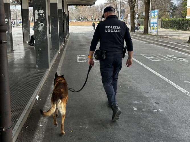 polizia locale thiene cane antidroga