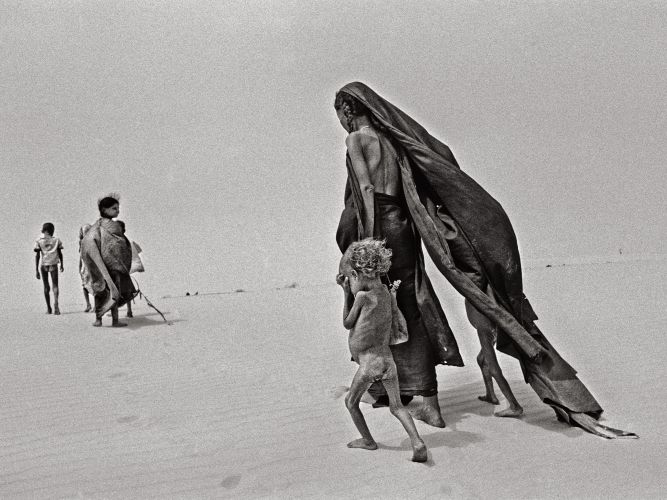 3 Salgado