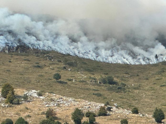 incendio crespadoro 2