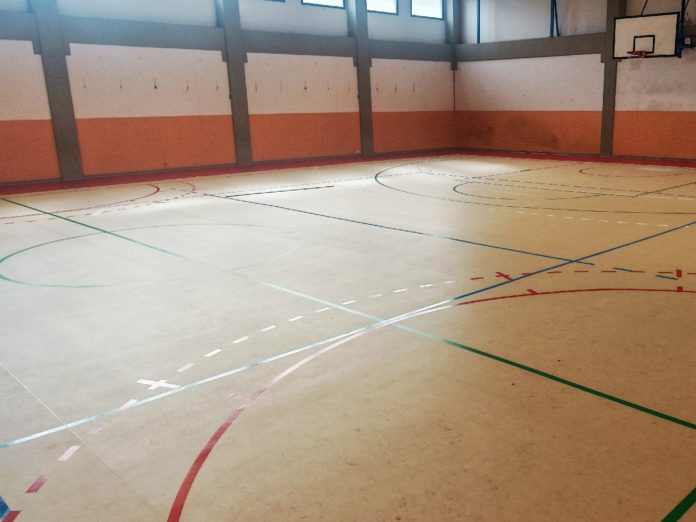 Palestra Boldu