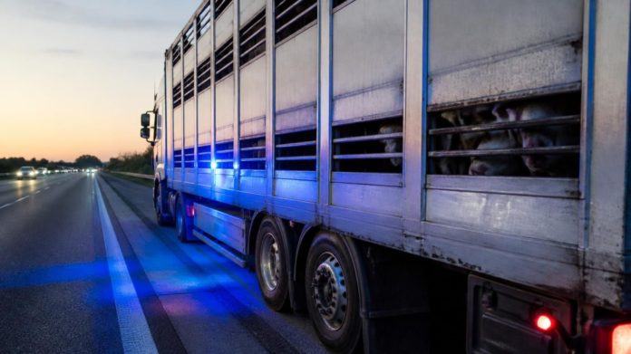 Controllo sull'autostrada A4